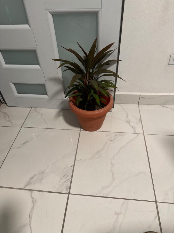 Apartament Second Floor 2Br Apt In The Center Of Santurce San Juan Zewnętrze zdjęcie